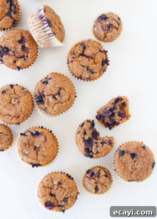 Golden Honey Blueberry Bran Muffins 3 Honey Blueberry Bran Muffins // FoodNouveau.com
