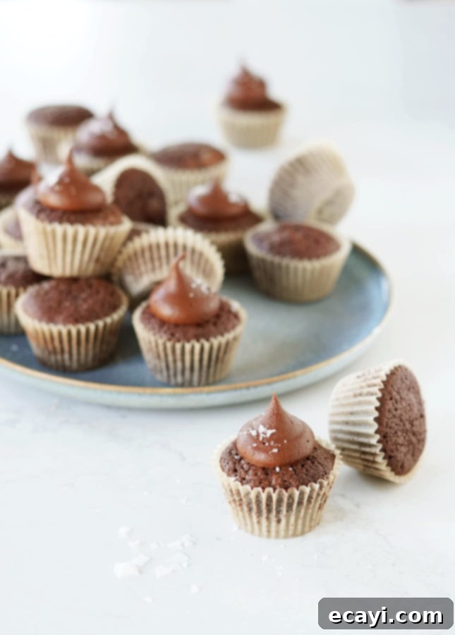 Salted Fudge Brownie Pops 3 Brownie Bites with Salted Fudge Frosting // FoodNouveau.com