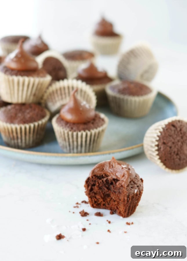 Salted Fudge Brownie Pops 4 Brownie Bites with Salted Fudge Frosting // FoodNouveau.com