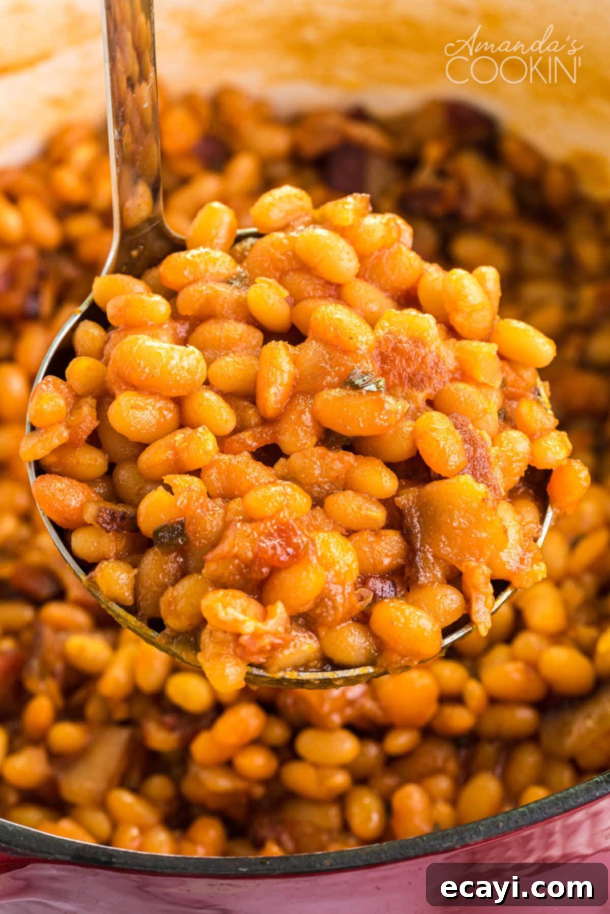 These homemade baked beans are baked in a delicious tangy sweet and savory sauce of brown sugar, maple syrup, ketchup, and apple cider vinegar. LADEL FULL OF BAKED BEANS