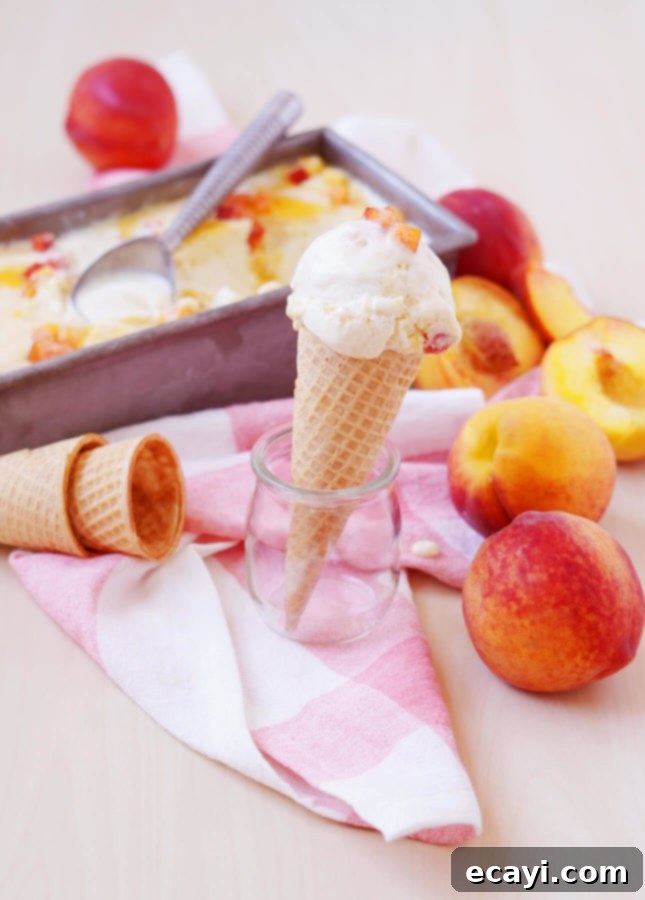 Sun-Kissed Peach Gelato 8 Fresh Peach Gelato // FoodNouveau.com