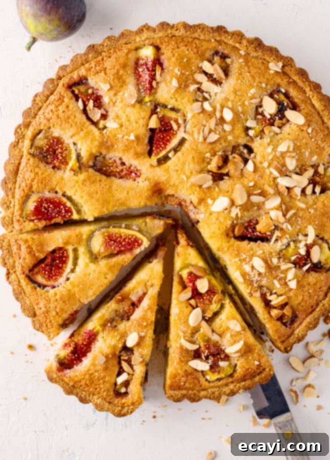 Honey-Glazed Fig and Almond Tart 5 Honeyed Fig Frangipane Tart // FoodNouveau.com