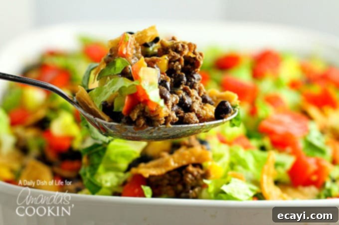 This delicious and hearty taco casserole will quickly become a family favorite. Seasoned beef, tasty beans, melty cheese and salsa with just enough chips! spoonful of taco casserole