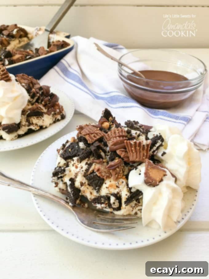 Irresistible Peanut Butter Oreo No Bake Cheesecake 3 A close up of peanut butter cup oreo no bake cheesecake on a white plate, showcasing the rich, inviting toppings and creamy filling.