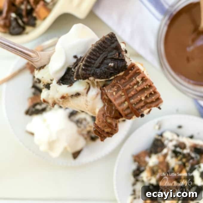 Irresistible Peanut Butter Oreo No Bake Cheesecake 4 A close up of a forkful of peanut butter cup oreo no bake cheesecake, highlighting the textures of the cookie crust, creamy filling, and peanut butter cup chunks.