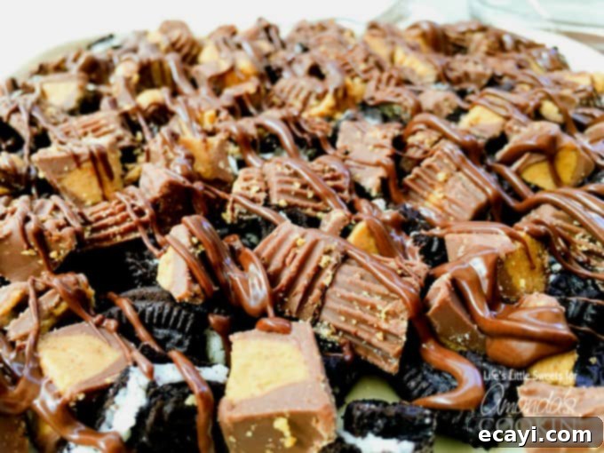 Irresistible Peanut Butter Oreo No Bake Cheesecake 5 A close up photo of chopped Oreos and peanut butter cups generously scattered on top of a peanut butter Oreo no bake cheesecake, creating an irresistible visual.