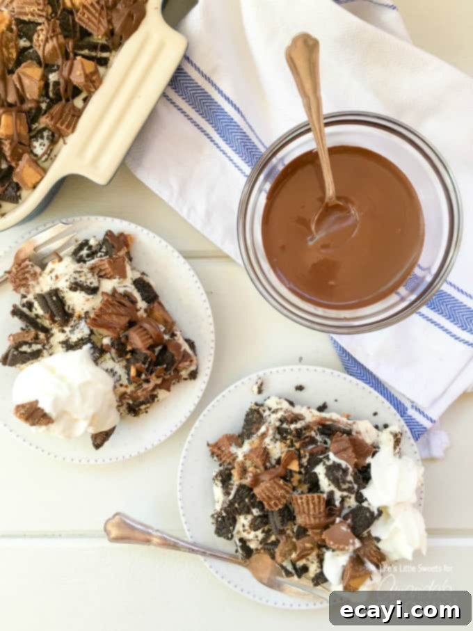 Irresistible Peanut Butter Oreo No Bake Cheesecake 6 An overhead view of two plates with slices of peanut butter cup oreo no bake cheesecake, and a bowl of homemade chocolate shell on the side, inviting to a delicious, shareable experience.