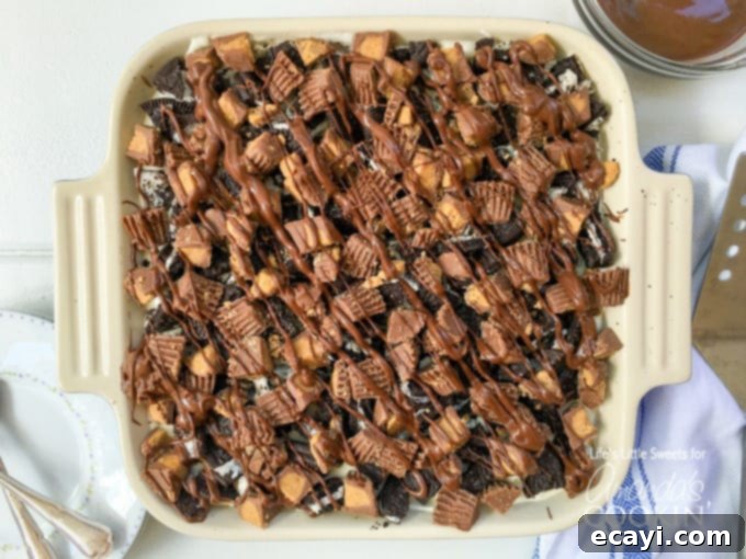Irresistible Peanut Butter Oreo No Bake Cheesecake 7 An overhead shot of a full peanut butter oreo no bake cheesecake in a square dish, beautifully topped and ready for slicing and serving.