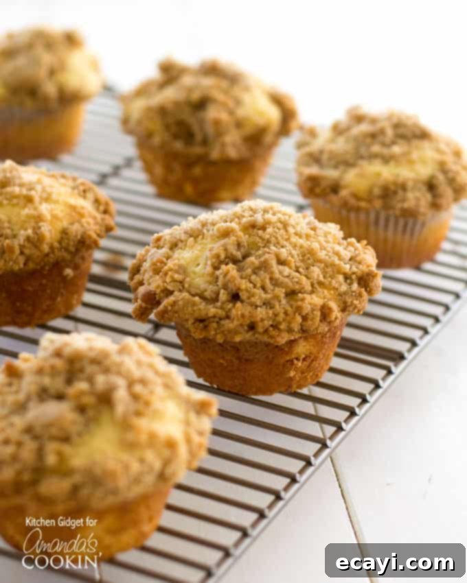 Cinnamon Swirl Crunch Muffins 2 Cinnamon streusel muffins on a cooling rack, showcasing their golden-brown tops.