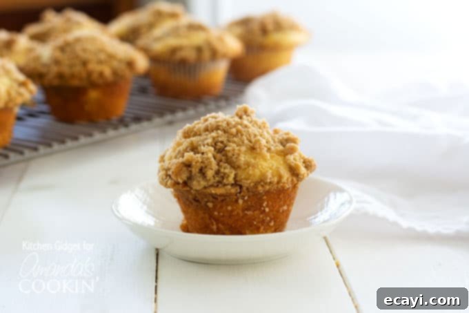Cinnamon Swirl Crunch Muffins 5 A single cinnamon streusel muffin in a white bowl, ready to be enjoyed.