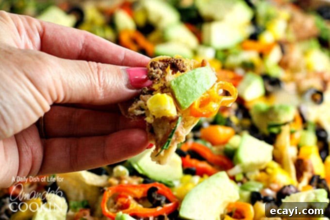 Ultimate Nacho Feast 6 A close up of someone holding a tortilla chip with taco meat, avocado, and corn.