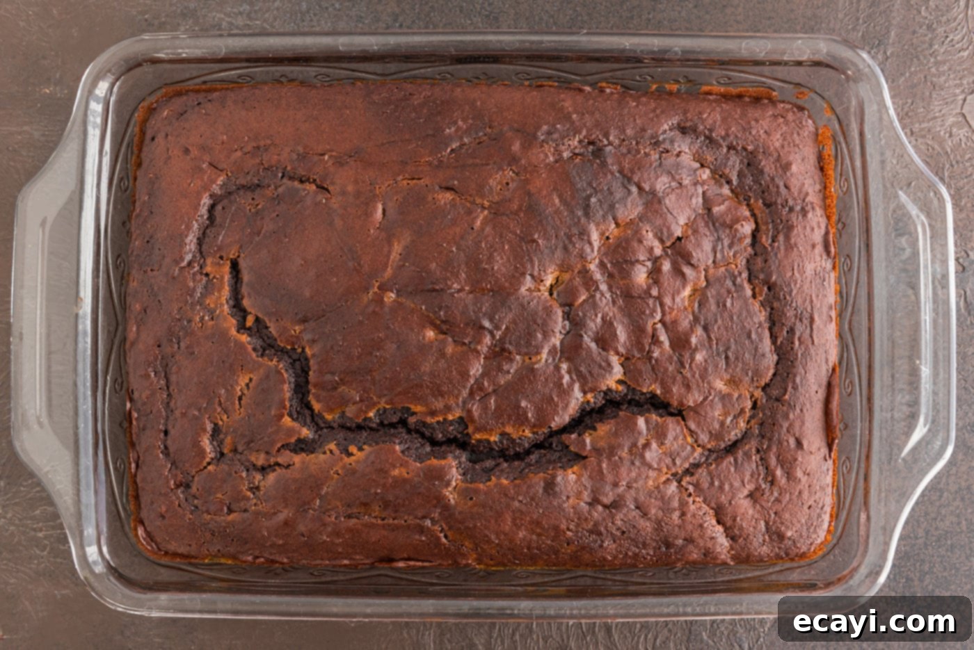 Chocolate Pumpkin Enchantment 11 baked chocolate pumpkin magic cake