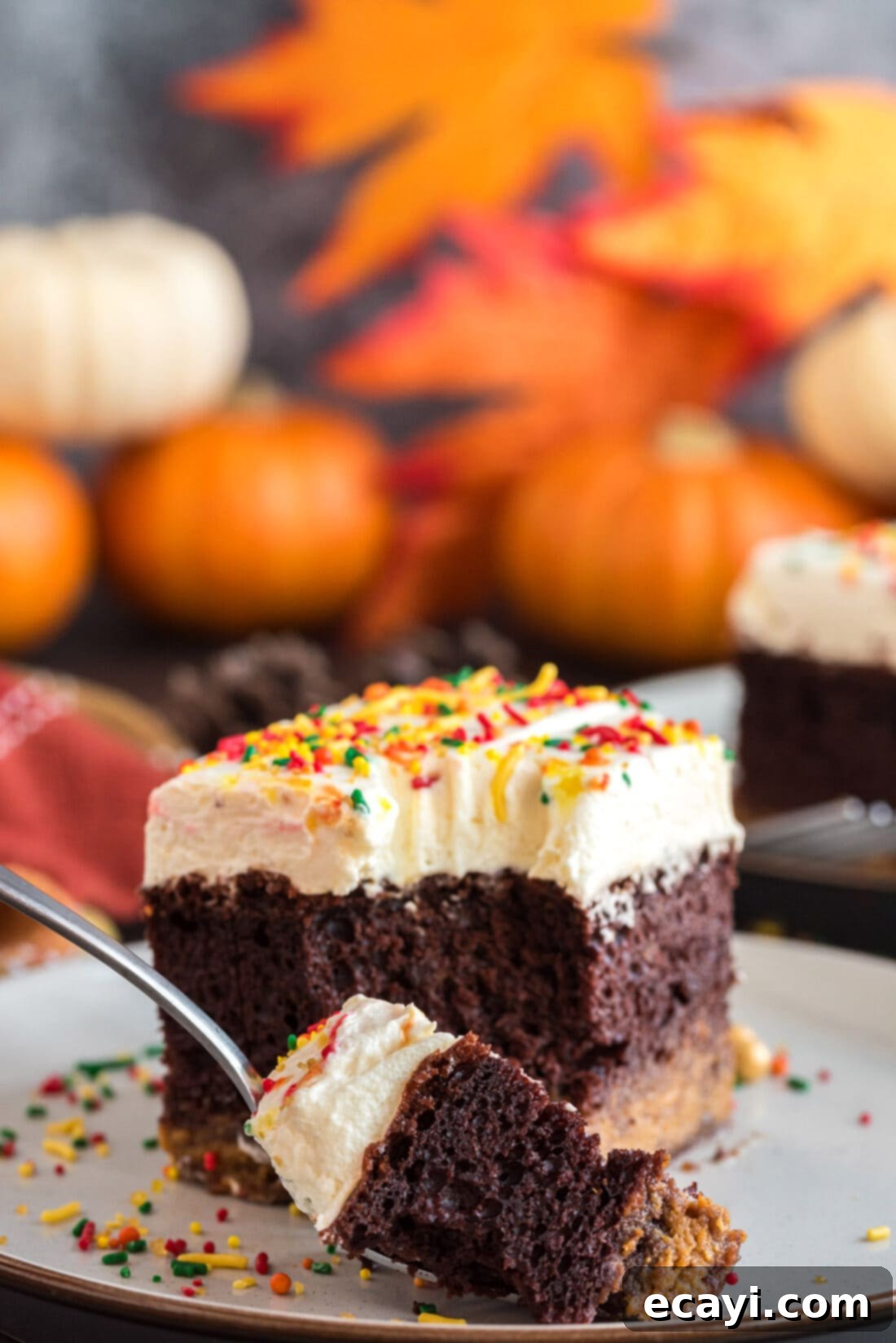 Chocolate Pumpkin Enchantment 16 Piece of Chocolate Pumpkin Magic Cake on a plate with a piece removed on a fork