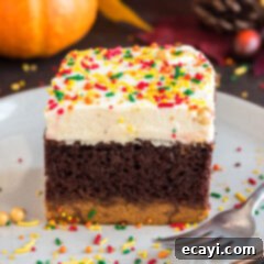 Chocolate Pumpkin Enchantment 17 Close up photo of a piece of Chocolate Pumpkin Magic Cake