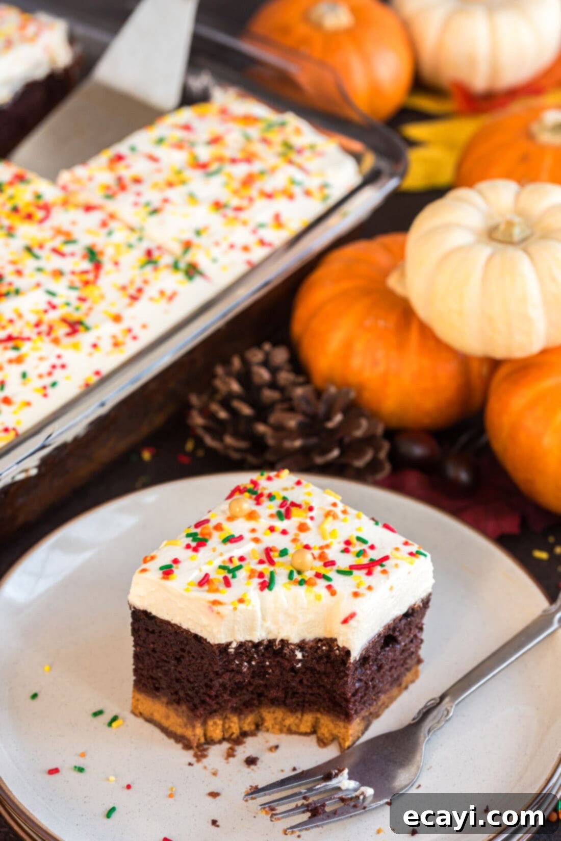 Chocolate Pumpkin Enchantment 3 Piece of Chocolate Pumpkin Magic Cake on a plate with a pan of cake in the background