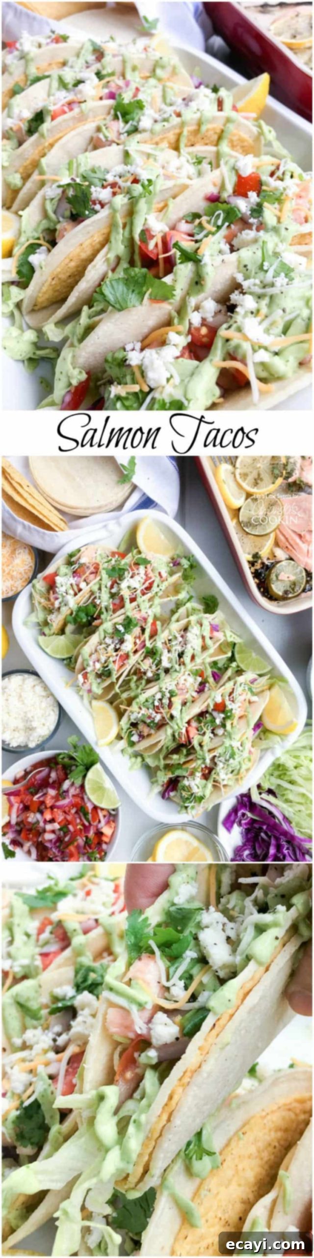 Zesty Salmon Street Tacos 12 An overhead photo of salmon tacos resting in a casserole dish.