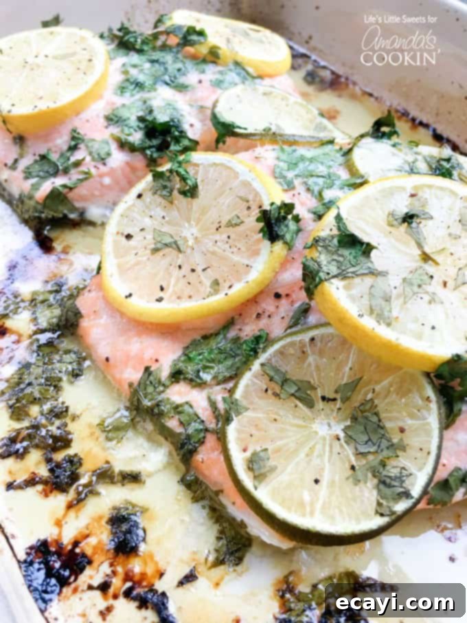 Zesty Salmon Street Tacos 8 A close-up photo of baked salmon, beautifully flaked and topped with bright lemon and lime wheels, fresh cilantro, and melted butter, ready for taco preparation.