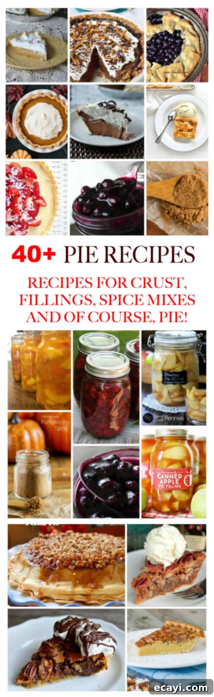 Unlock Pie Perfection: 40+ Recipes, Flaky Crust Secrets, Aromatic Spice Blends & Homemade Goodness 11 A final collection of assorted pie photos, beautifully styled to inspire home bakers and showcase the variety of delicious pies available.