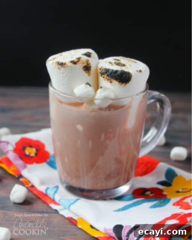 Decadent Chocolate Elixir 2 A clear mug filled with a hot chocolate cocktail and two roasted marshmallows on top.