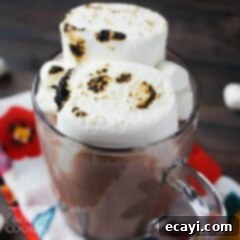 Decadent Chocolate Elixir 4 glass mug of hot chocolate with roasted marshmallows