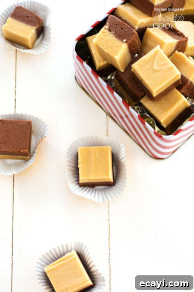 Chocolate chips, peanut butter, marshmallow fluff, and evaporated milk and a few more ingredients make delicious two layered chocolate peanut butter fudge. A vintage tin filled with homemade two-layer chocolate peanut butter fudge, ready for gifting or enjoying.
