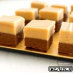 Chocolate Peanut Butter Perfection 2 A close up of chocolate peanut butter fudge squares, showing their perfect layers and rich colors.