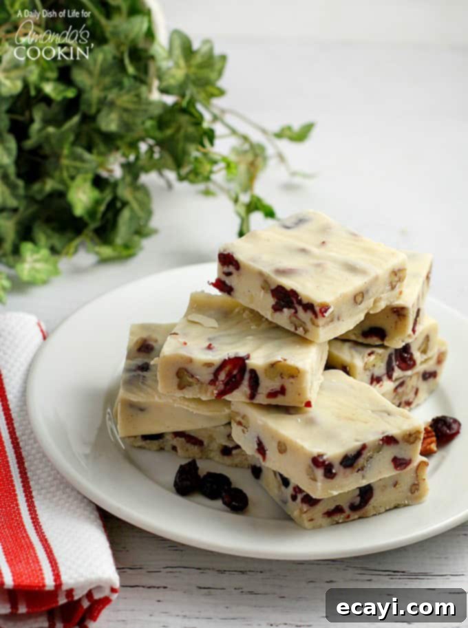 Blissful White Chocolate Cranberry Fudge 3 Squares of white chocolate cranberry fudge elegantly stacked on a pristine white plate.