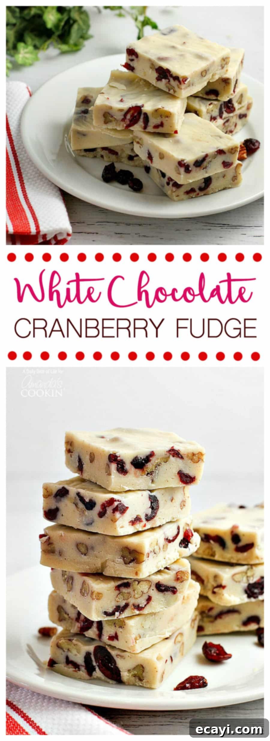 Blissful White Chocolate Cranberry Fudge 8 A series of tempting photos showcasing the squares of white chocolate cranberry fudge from various angles.