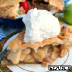 Rustic Apple Pie Perfection 9 Have a slice of delicious homemade apple pie you make from scratch!