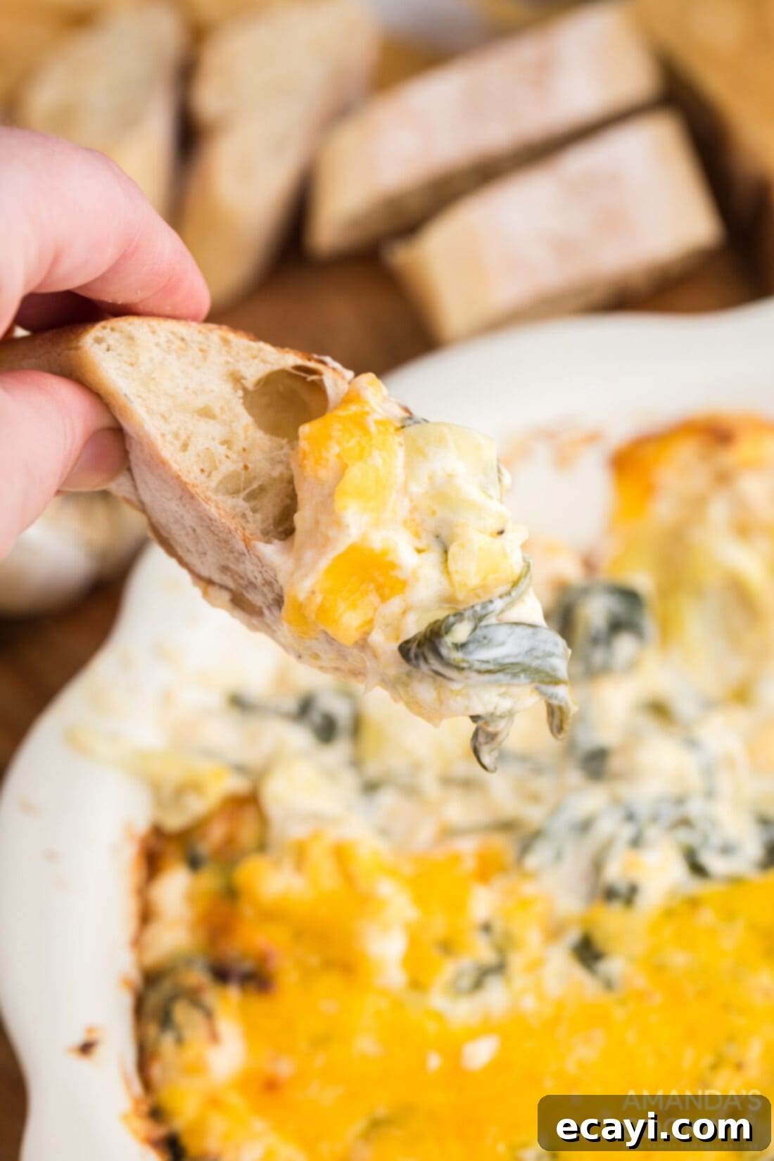 Piping Hot Cheesy Spinach Delight 9 hot spinach dip on a hunk of bread