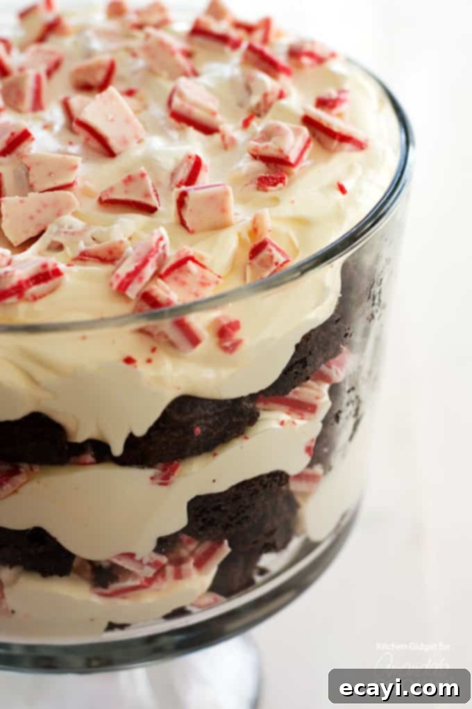 Festive Peppermint Chocolate Trifle 2 Close-up view of a festive chocolate peppermint trifle, showcasing its beautiful layers of brownie, pudding, and candy.