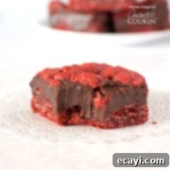 Red Velvet Oatmeal Fudge Obsession 6 Delicious Red Velvet Oatmeal Fudge Bars - great for gift giving!