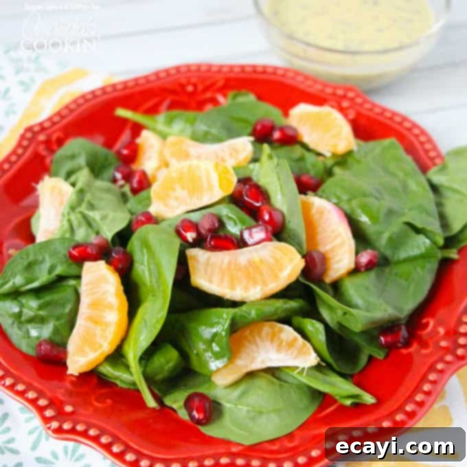 Jewel-Toned Pomegranate Clementine Spinach Salad 3 A pomegranate clementine spinach salad on a red plate.