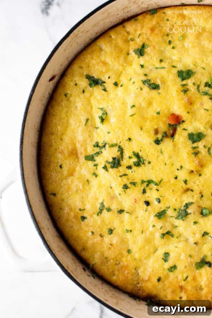 Vibrant Veggie Frittata 3 An overhead picture of a baked vegetable frittata, showing its golden-brown top and inviting texture.