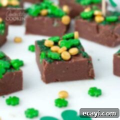 Rich Baileys Irish Cream Chocolate Fudge 2 piece of fudge
