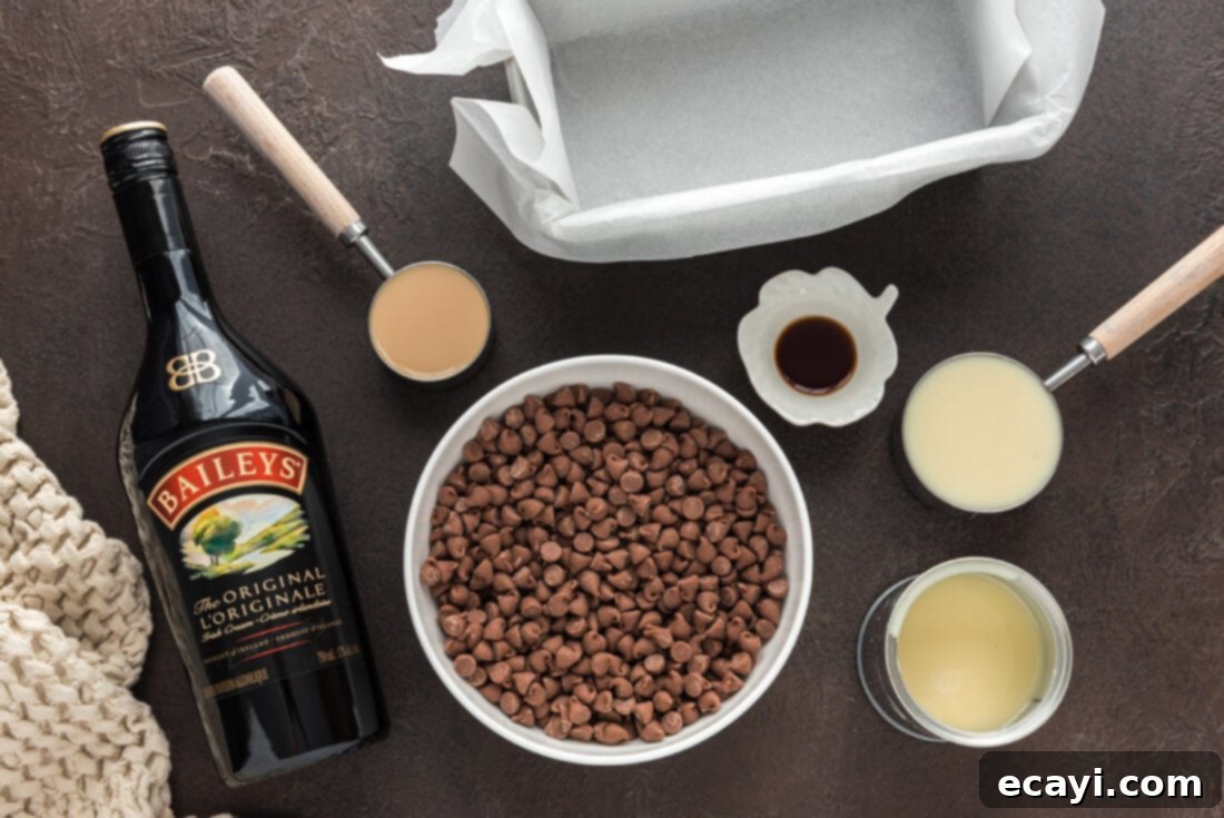 Effortless 4 Ingredient Baileys Fudge 4 All four ingredients for Bailey's fudge laid out: chocolate chips, condensed milk, Bailey's, and vanilla extract