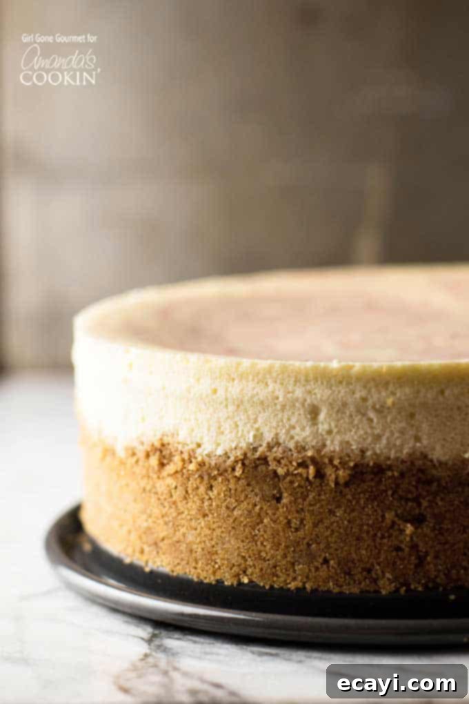 Luscious Strawberry Swirl Cheesecake 2 A close up side shot of an entire strawberry swirl cheesecake sitting on a black plate, showcasing its height and beautiful swirl.