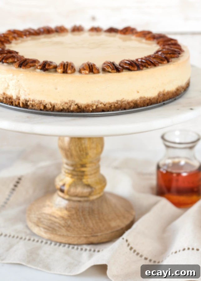 Smart Indulgence Maple Cheesecake with Pecan Graham Crust 3 A beautifully baked maple cheesecake with a golden crust, ready to be chilled. The perfect lightened-up dessert recipe.