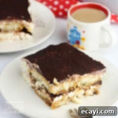 No-Bake Tiramisu Dream 2 Tiramisu cake on a plate