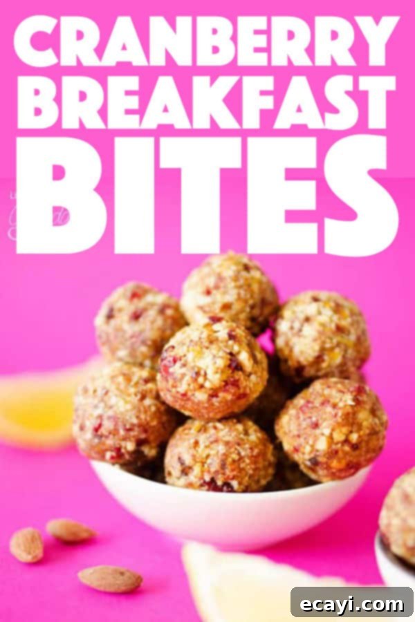 These Cranberry Breakfast Bites are an ultra-quick and simple way to fill up on antioxidant-rich fruits and healthy fats in the morning. #cranberry #breakfast #breakfastrecipes #energy #healthy #healthyrecipes #oats Cranberry Breakfast Bites