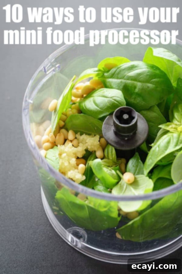 If you’re like me, you’ve got one of these cute little numbers tucked neatly away in a kitchen cabinet: a mini food processor, also known as a food chopper. #foodprocessor #kitchentips #minifoodprocessor #cooking #cookingtips #tipsandtricks #recipes #easyrecipes 10 Ways To Use Your Mini Food Processor!