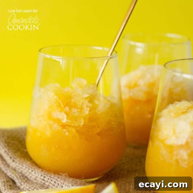 This Easy Bourbon Slush has just 5 ingredients and comes together in minutes! Just mix it, freeze it, and forget it until you’re ready to enjoy! #slush #slushie #adultslushie #slushierecipes #bourbonrecipes #bourboncocktails #summercocktails #drinkswithbourbon #cocktailswithbourbon #summerdrinks Bourbon Slush