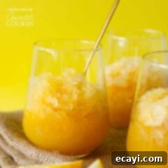 Kentucky Summer Slush 2 EASY BOURBON SLUSH