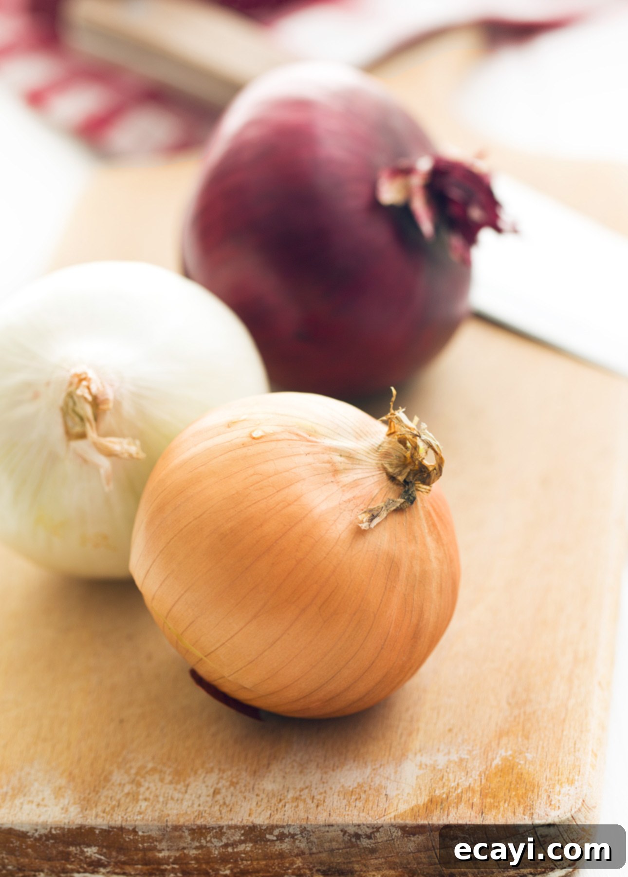 Perfect Homemade French Onion Soup 7 Various varieties of onions that can be used to make Classic French Onion Soup // FoodNouveau.com