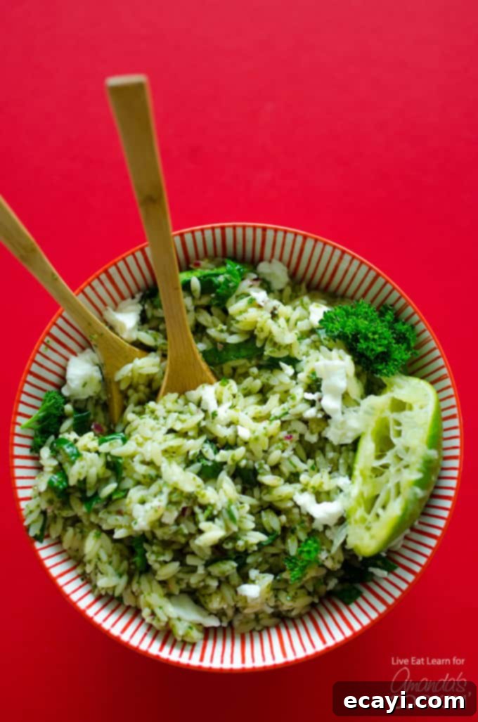 Vibrant Chimichurri Orzo Salad 2 Delicious and easy Orzo Salad with Chimichurri Sauce, garnished with fresh herbs and feta.