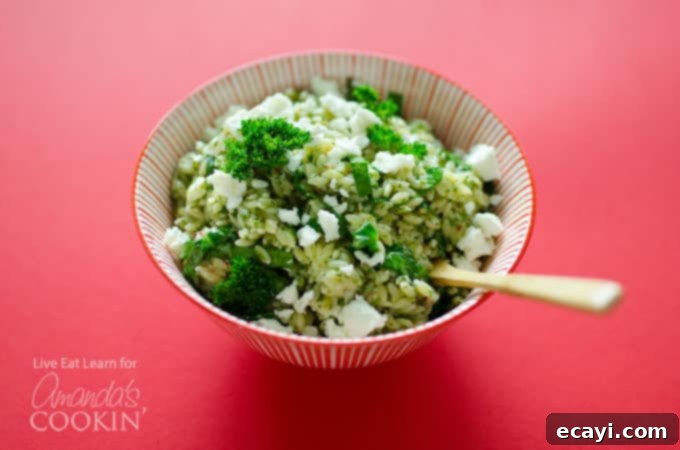 Vibrant Chimichurri Orzo Salad 4 Close-up of the delicious Orzo Salad with Chimichurri Sauce, ready to be served in under 15 minutes.