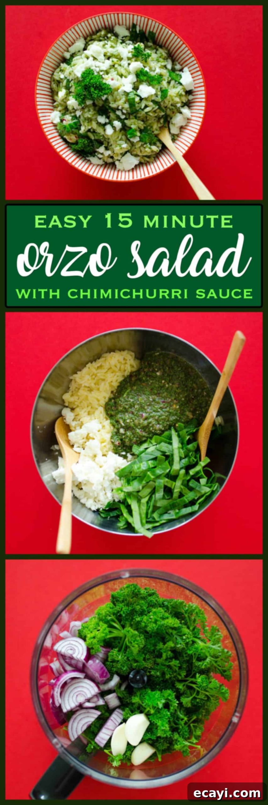 Vibrant Chimichurri Orzo Salad 5 pinterest image with text: Orzo Salad with Chimichurri Sauce
