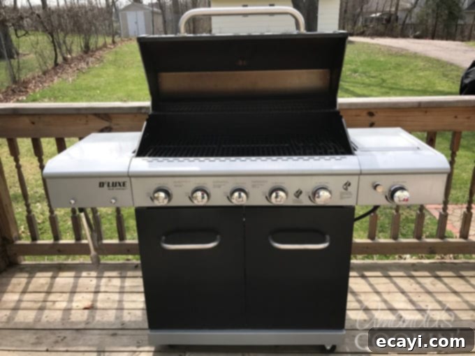 Get ready for grilling season with this step by step photo guide on how to clean your gas grill. Easy instructions that will have you grilling in no time! #cleaningyourgrill #howtocleangasgrill #gasgrill #grilling #clean #howtoclean #laborday #memorialday #barbecues #summer #amandascookin Enjoy your clean gas grill!