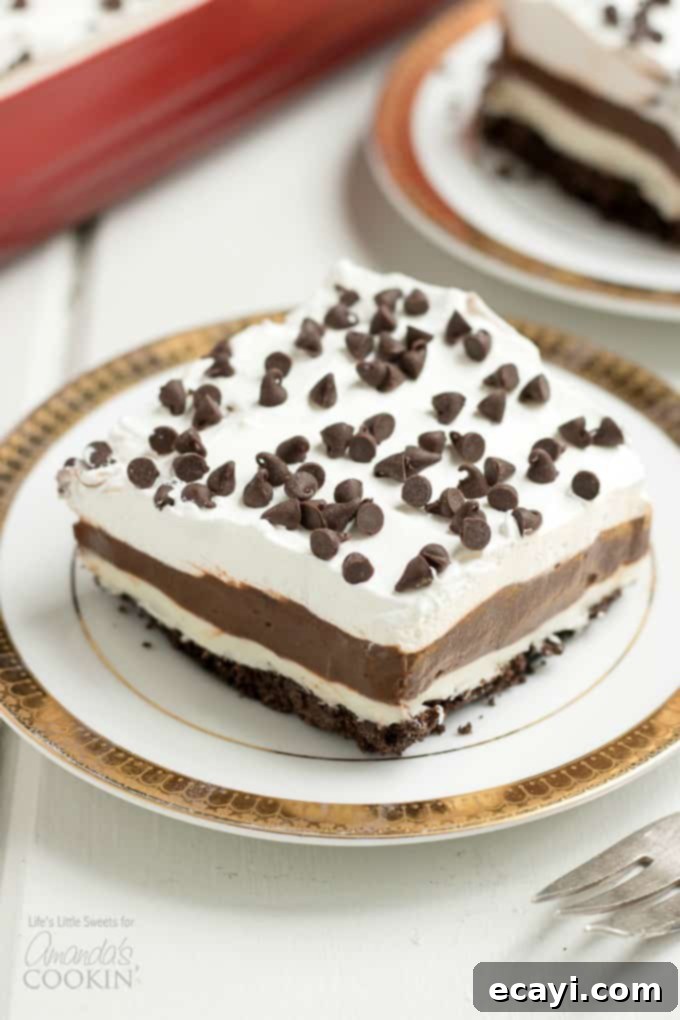 This Mocha Lush recipe is a light, airy and cool dessert that serves up delicious, chocolatey, mocha flavor. One-pan Mocha Lush is perfect for potlucks! #mochalush #lushdesserts #onepandesserts #nobakedesserts #onepan #nobake #chocolatedesserts #puddingdesserts  One pan Mocha Lush, a refreshing layered dessert with chocolate and coffee flavors
