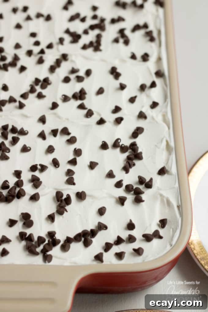 This Mocha Lush recipe is a light, airy and cool dessert that serves up delicious, chocolatey, mocha flavor. One-pan Mocha Lush is perfect for potlucks! #mochalush #lushdesserts #onepandesserts #nobakedesserts #onepan #nobake #chocolatedesserts #puddingdesserts  Mocha Lush with mini chocolate chips topping a creamy dessert